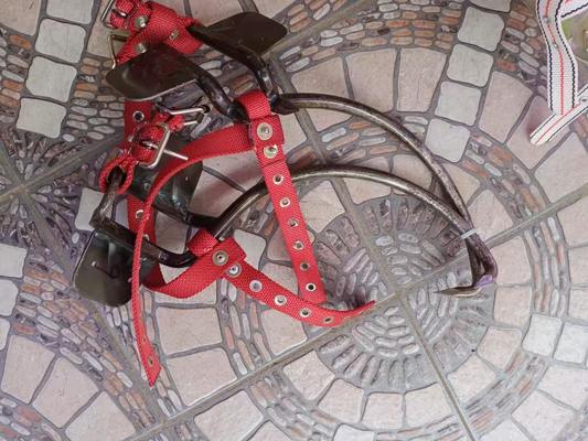 kupować Ciężko działający regulowany drewniany wspinacz z ostrymi kolcami do słupów użytkowych o długości 300 mm online manufacture