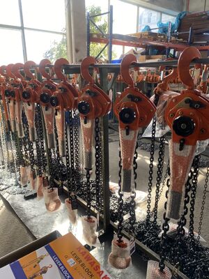 kupować 1.5m Ręczna dźwignia łańcuch podnoszący 1 tona pojemność ciężkie narzędzie do podnoszenia ręcznego do przemysłowych urządzeń online manufacture